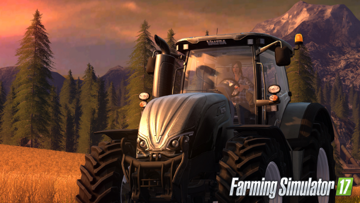 how to stop lag in professional farming simulator 2014
