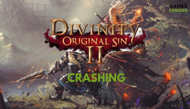 Divinity Original Sin 2 Crashing