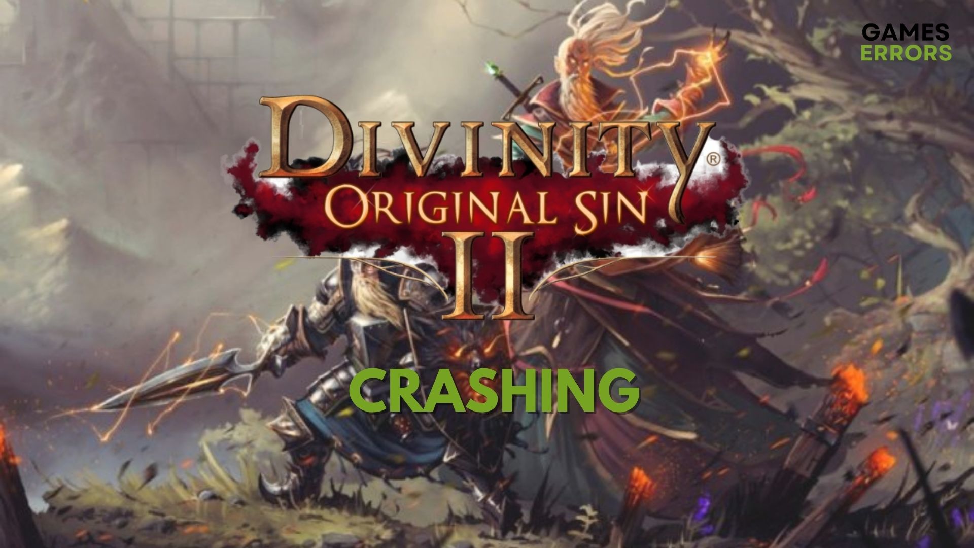 Divinity Original Sin 2 Crashing