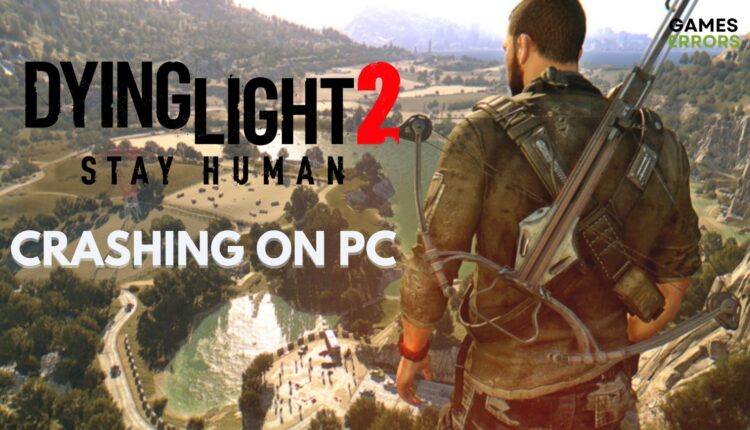 Dying Light 2 Crashing on PC