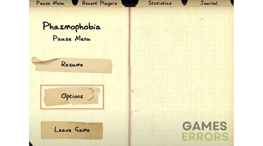 Phasmophobia Options