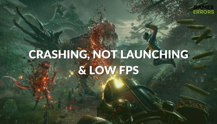 Shadow Warrior 2 Crashing Not Starting