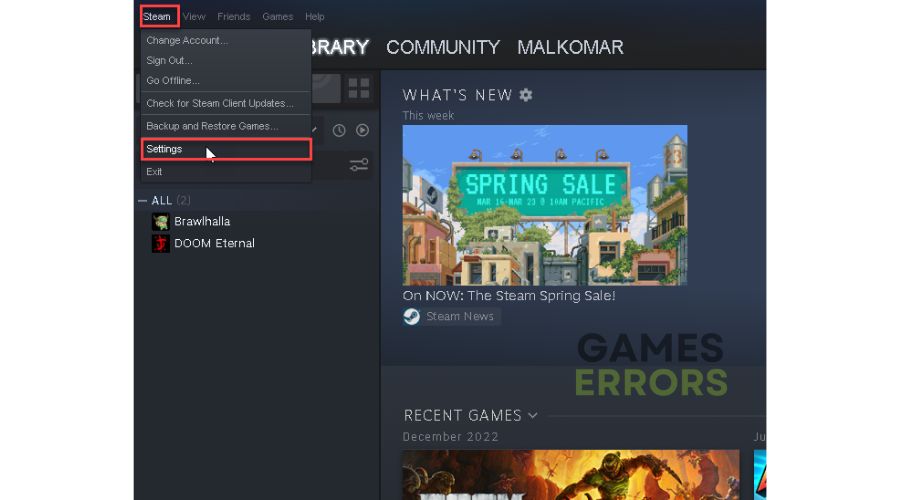 Steam client Settings