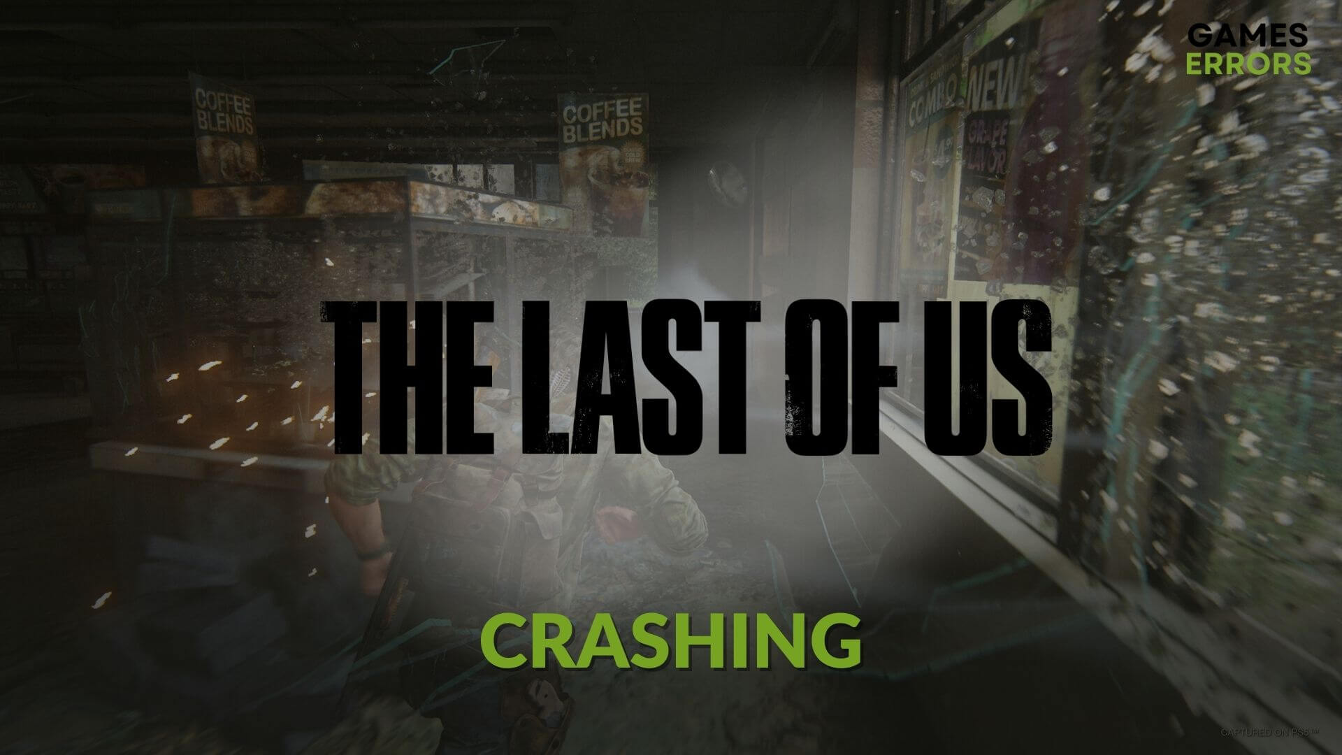 How can I fix The Last of Us crashing pc
