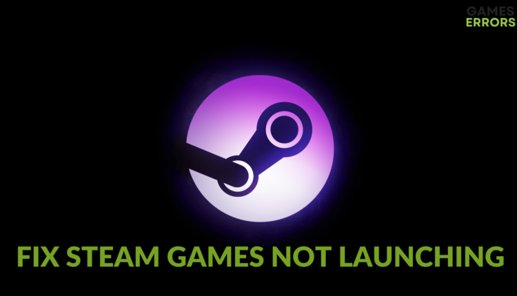 steam game not launching