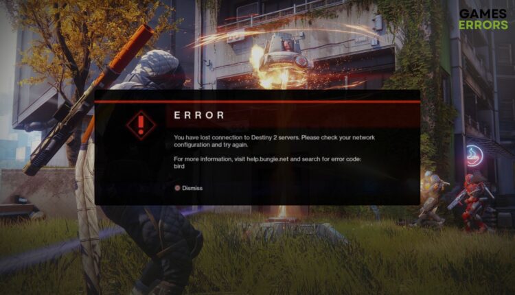 how to fix destiny 2 error code bird