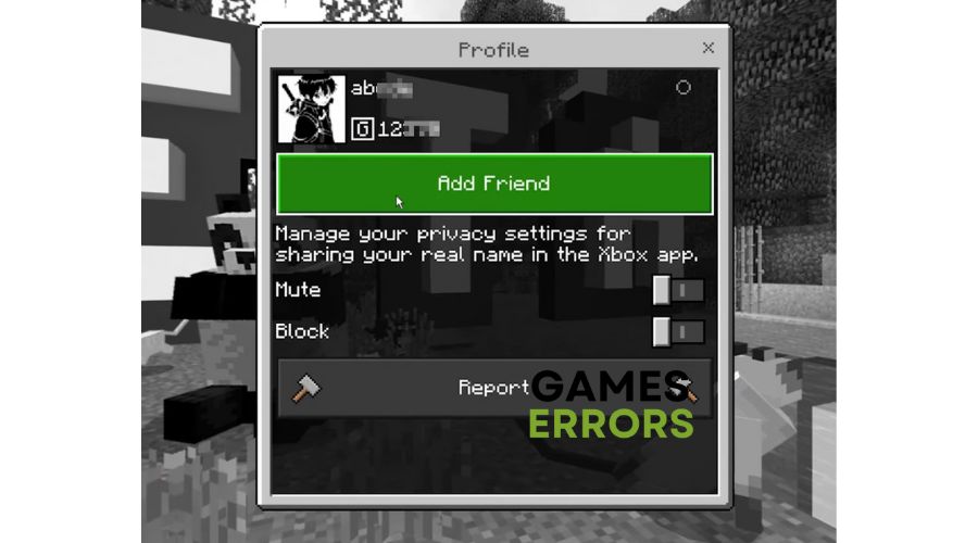 Minecraft Add Friend