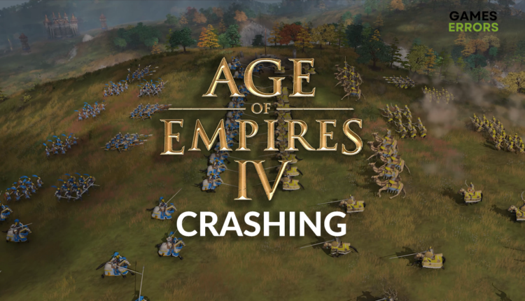 Age of Empires 4 crashing