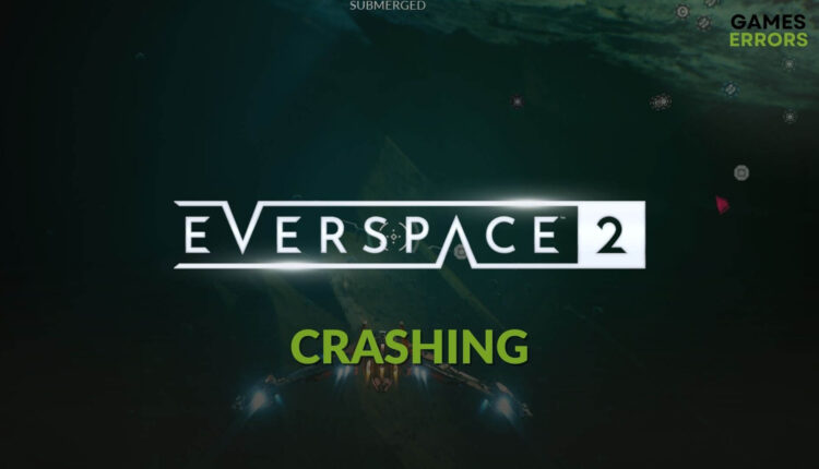 how to fix Everspace 2 crashing pc