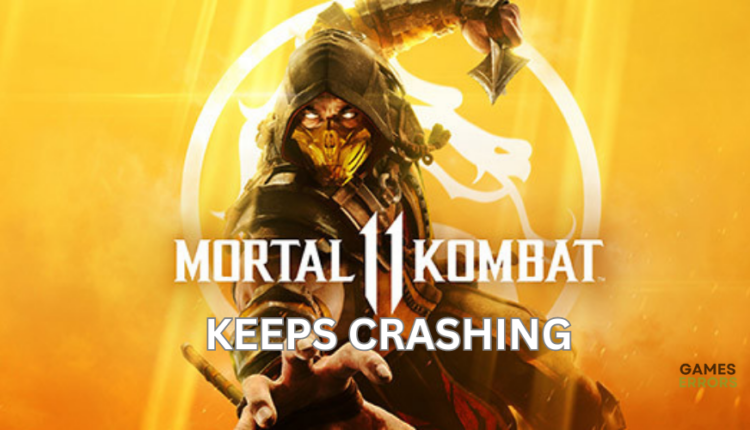 Mortal Kombat 11 crashing