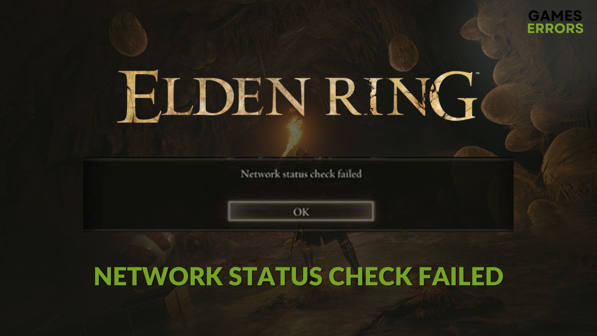 how to fix elden ring network status check failed