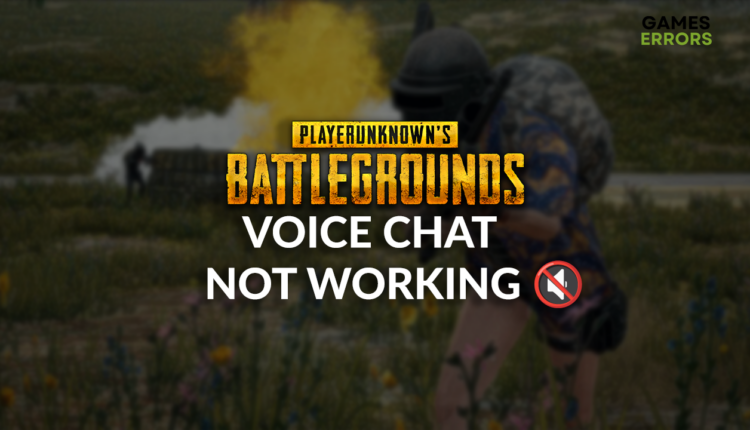 PUBG voice chat not working