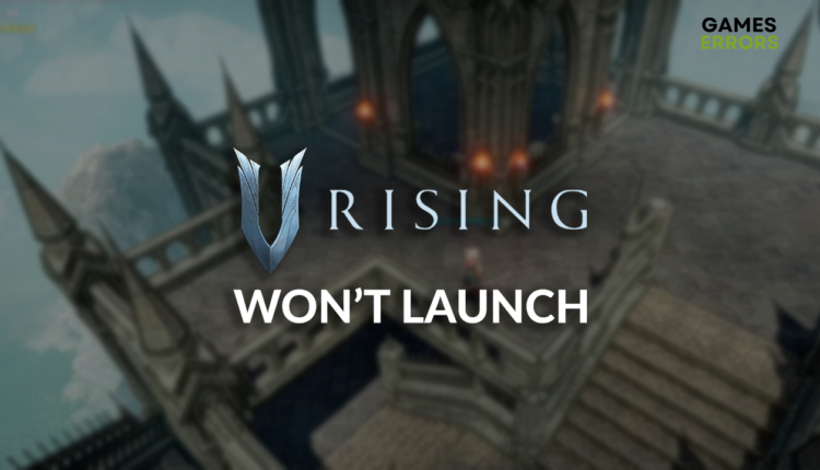 V Rising won't launch