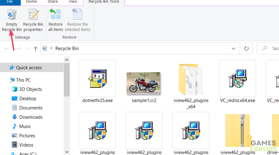 Empty Recycle Bin option Game Crashes When Streaming on Discord