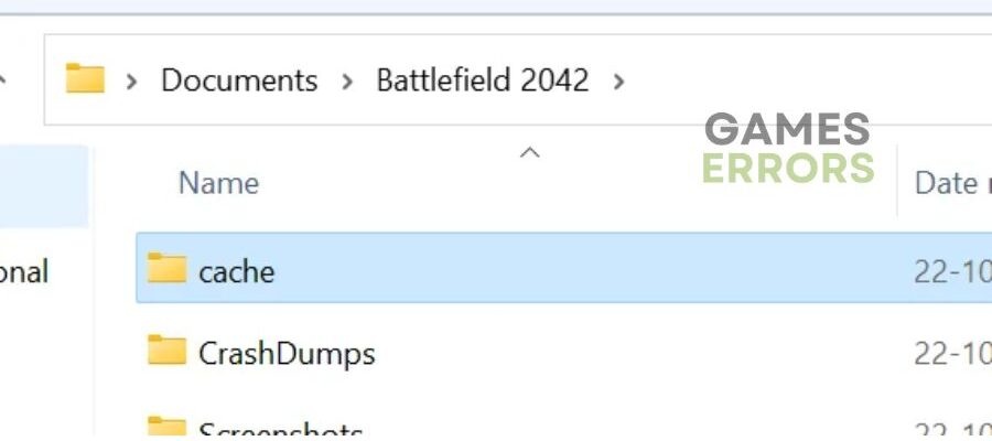 Battlefield 2042 Game cache