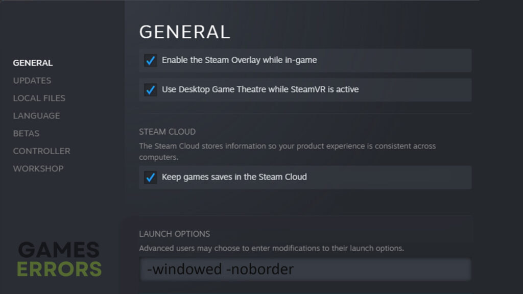 Steam launch options for windowed borderless mode