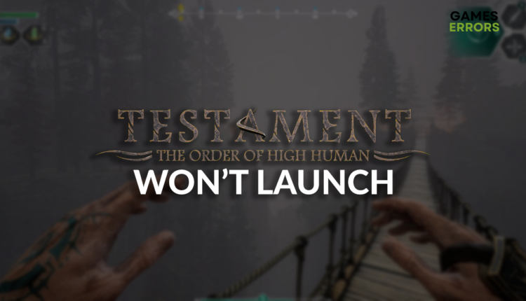 Testament: The Order of High Human won't launch
