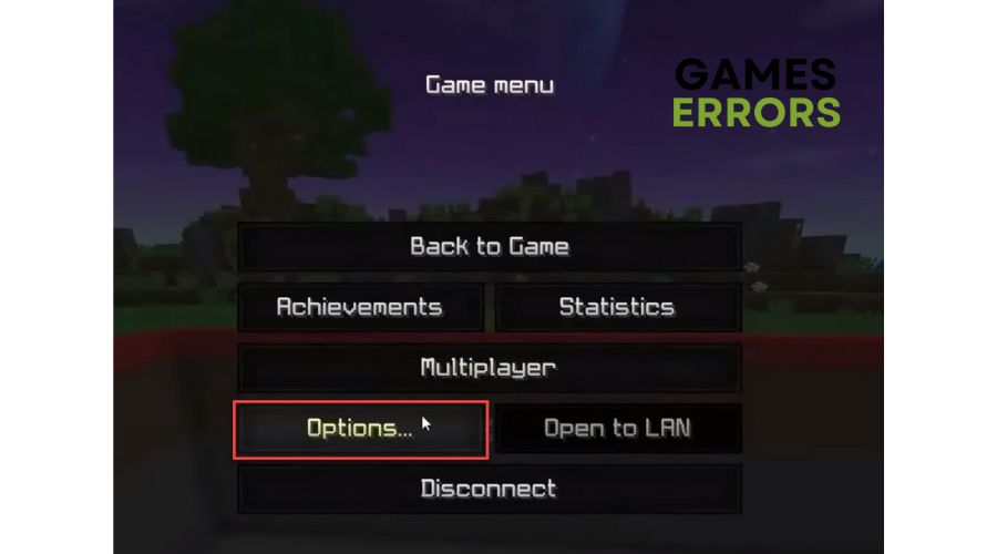 Minecraft Options Java