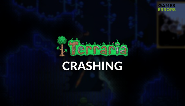 Terraria crashing