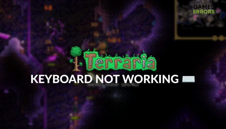 Terraria keyboard not working