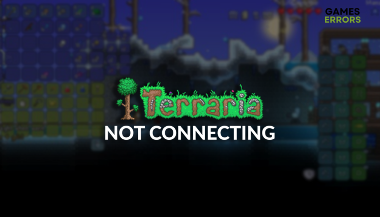 Terraria not connecting