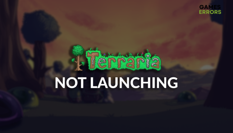 Terraria not launching