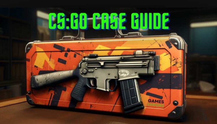 csgo case guide