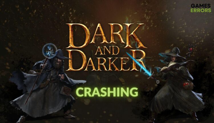 fix dark and darker crashing