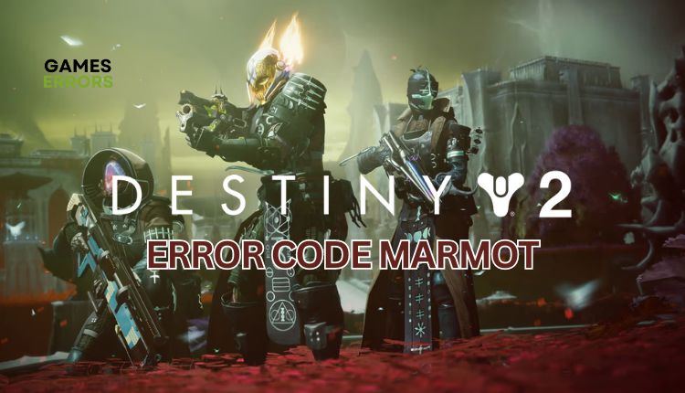 Destiny 2 Marmot Featured Image