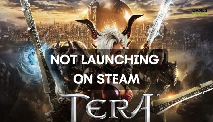 Tera Is Not Launching From Steam: Try These Fixes