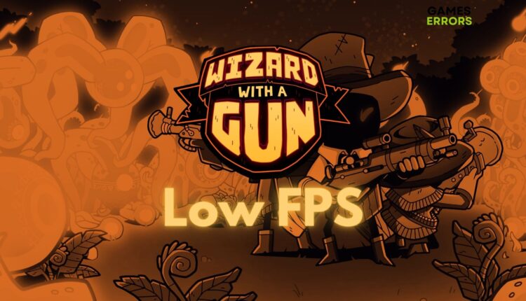 Wizard With a Gun Low FPS