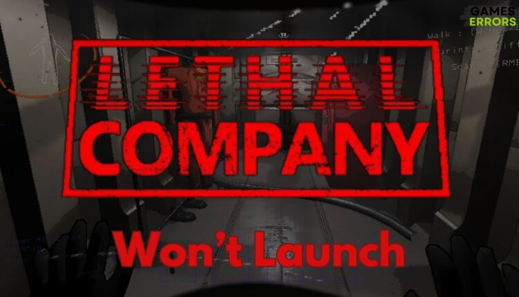 Lethal Company Won't Launch